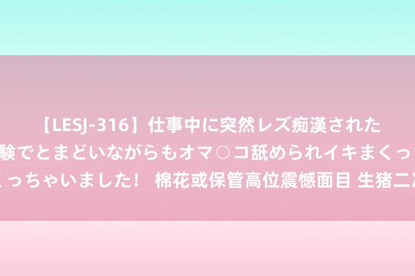 【LESJ-316】仕事中に突然レズ痴漢された私（ノンケ）初めての経験でとまどいながらもオマ○コ舐められイキまくっちゃいました！ 棉花或保管高位震憾面目 生猪二次育肥积极性有所缩短