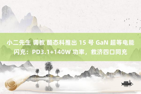 小二先生 调教 酷态科推出 15 号 GaN 超等电能闪充：PD3.1+140W 功率，救济四口同充