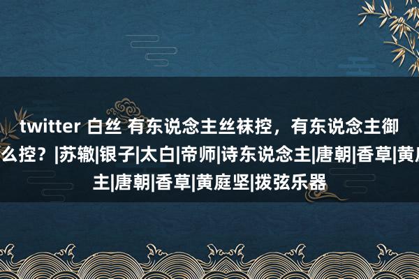 twitter 白丝 有东说念主丝袜控，有东说念主御姐控，苏轼什么控？|苏辙|银子|太白|帝师|诗东说念主|唐朝|香草|黄庭坚|拨弦乐器