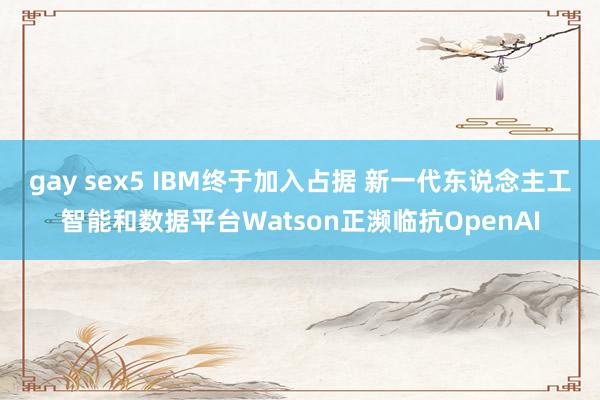 gay sex5 IBM终于加入占据 新一代东说念主工智能和数据平台Watson正濒临抗OpenAI