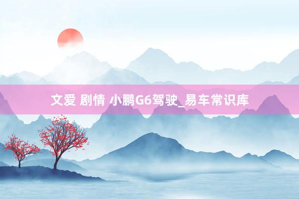 文爱 剧情 小鹏G6驾驶_易车常识库